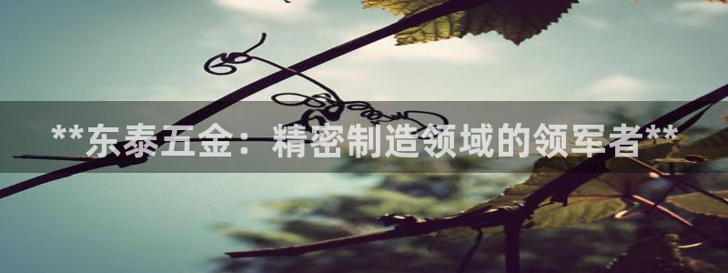 彩神赢的钱是哪里来的：**东泰五金：精密制造领域的领军者**