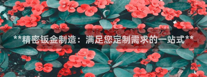 彩神vll首页环球：**精密钣金制造：满足您定制需求的一站式**