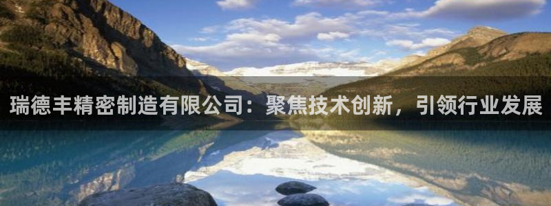 彩神ios下载：瑞德丰精密制造有限公司：聚焦技术创新，引领行业发展