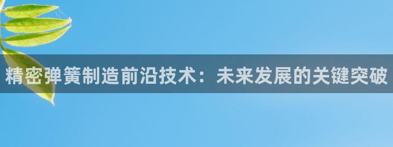 彩神vip购彩大厅在哪：精密弹簧制造前沿技术：未来发展的关键突破