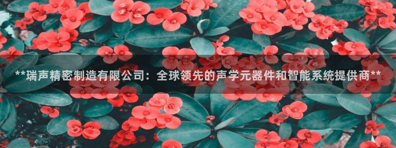 彩神大发黑平台：**瑞声精密制造有限公司：全球领先的声学元器件和智能系统提供商**