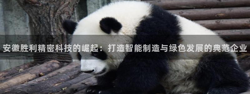 彩神v8下载：安徽胜利精密科技的崛起：打造智能制造与绿色发展的典范企业