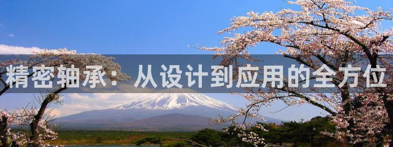 新版彩神v8登录：精密轴承：从设计到应用的全方位