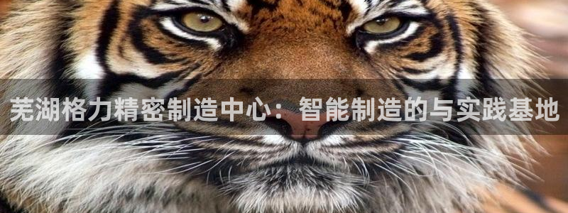 下载彩神通关注金码：芜湖格力精密制造中心：智能制造的与实践基地