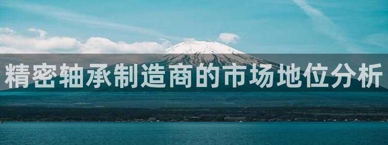 所有彩神购买首页中心：精密轴承制造商的市场地位分析