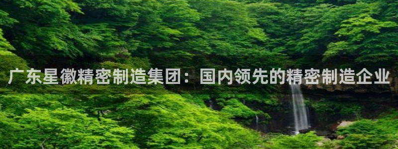 彩神可以提现吗：广东星徽精密制造集团：国内领先的精密制造企业