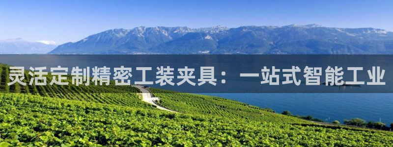 彩神8是正规平台吗知乎：灵活定制精密工装夹具：一站式智能工业