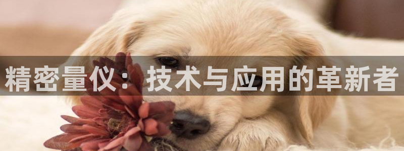 彩神v8手机客户端：精密量仪：技术与应用的革新者