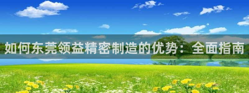 彩神vip购彩大厅在哪：如何东莞领益精密制造的优势：全面指南