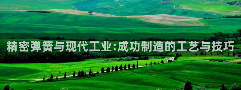 彩神vlll游戏特色：精密弹簧与现代工业:成功制造的工艺与技巧