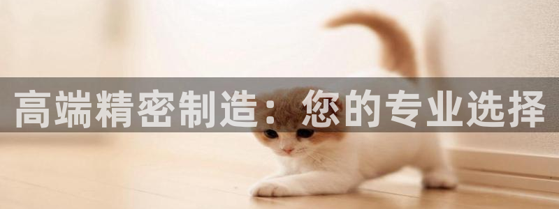 彩神大发三期计划网站：高端精密制造：您的专业选择