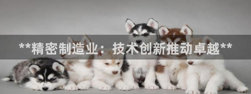 彩神通官方网：**精密制造业：技术创新推动卓越**