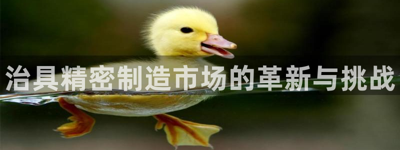 彩神velcome购彩大厅：治具精密制造市场的革新与挑战