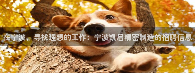 彩神iv争霸购彩大厅：在宁波，寻找理想的工作：宁波凯启精密制造的招聘信息