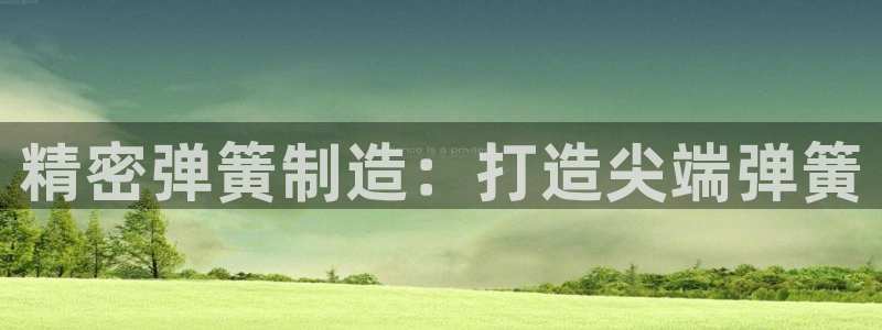 彩神VII购彩中心：精密弹簧制造：打造尖端弹簧