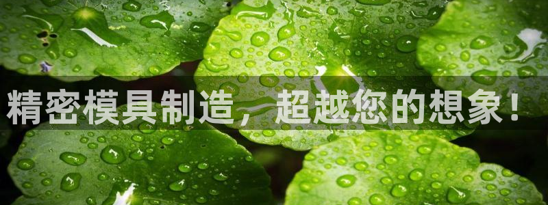 彩神v：精密模具制造，超越您的想象！