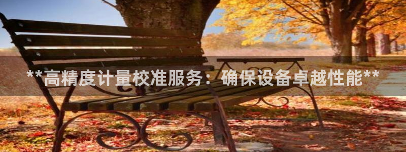 彩神购彩购彩大厅入口v：**高精度计量校准服务：确保设备卓越性能**