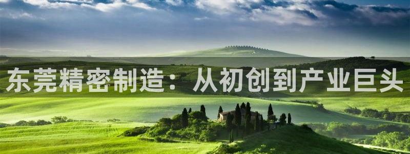 彩神V集团公司：东莞精密制造：从初创到产业巨头