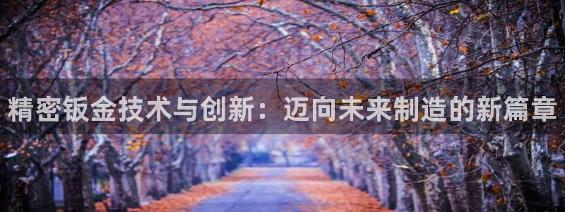 彩神v天天：精密钣金技术与创新：迈向未来制造的新篇章