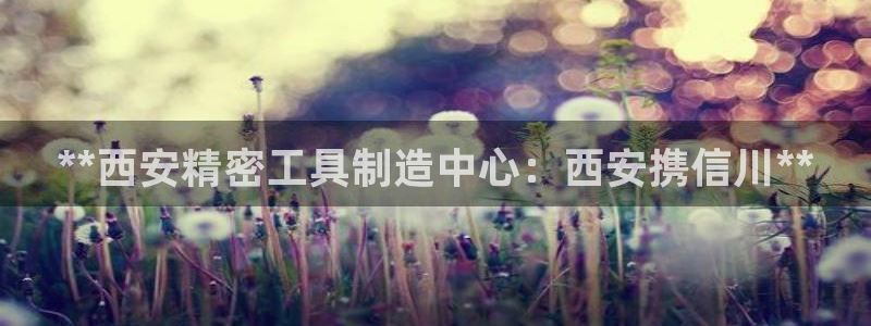 彩神v秘聊号码：**西安精密工具制造中心：西安携信川**