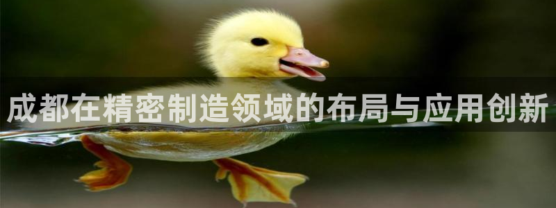 所有彩神购买首页都一样吗：成都在精密制造领域的布局与应用创新