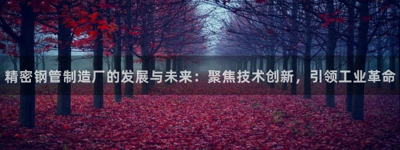 彩神viii是正规平台吗?：精密钢管制造厂的发展与未来：聚焦技术创新，引领工业革命