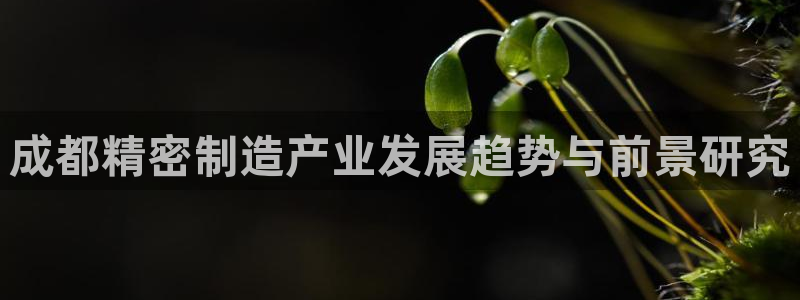 彩神官方网站登录是多少：成都精密制造产业发展趋势与前景研究