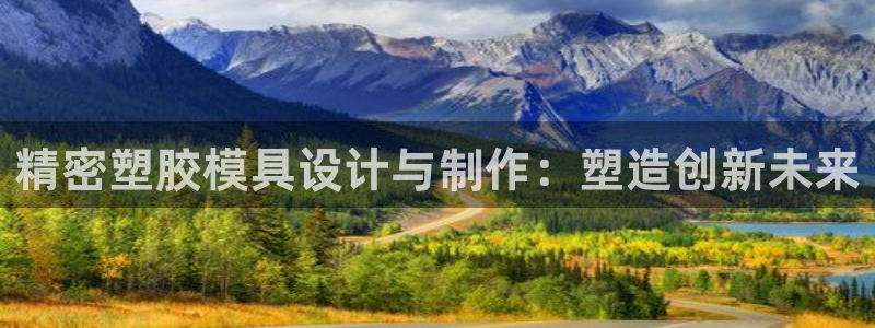 彩神的邀请码是多少：精密塑胶模具设计与制作：塑造创新未来