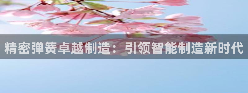 新版彩神v8登录不上去：精密弹簧卓越制造：引领智能制造新时代
