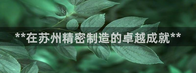 彩神v争霸是啥：**在苏州精密制造的卓越成就**