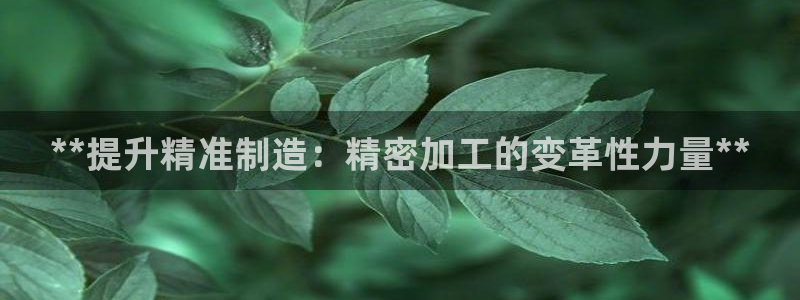 彩神vi官网版：**提升精准制造：精密加工的变革性力量**