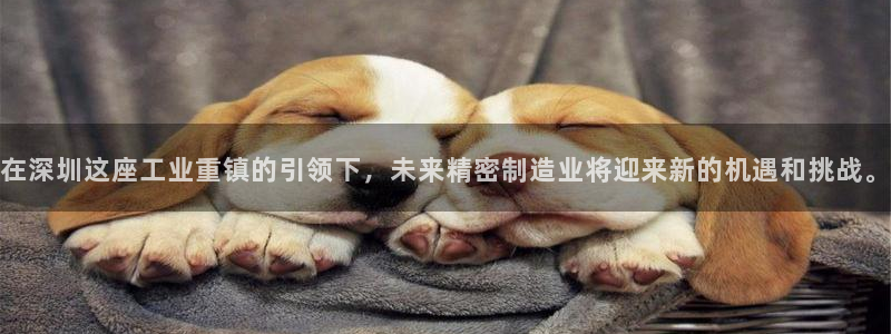 彩神v平台：在深圳这座工业重镇的引领下，未来精密制造业将迎来新的机遇和挑战。