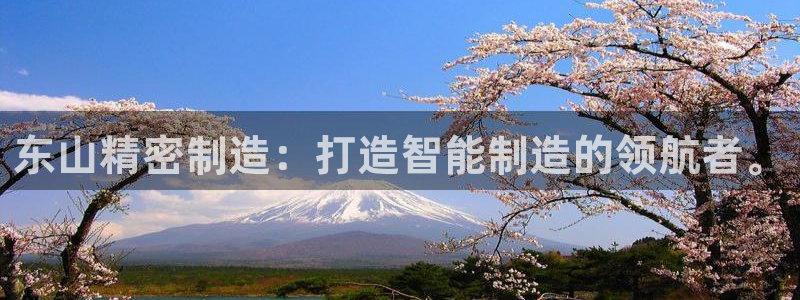 彩神8彩平台：东山精密制造：打造智能制造的领航者。