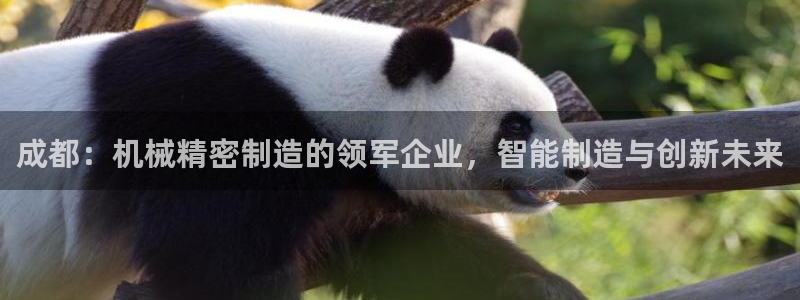 彩神vlll(中国)百度百科：成都：机械精密制造的领军企业，智能制造与创新未来