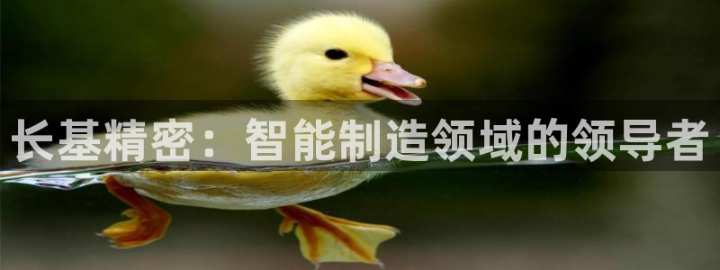 彩神v|：长基精密：智能制造领域的领导者