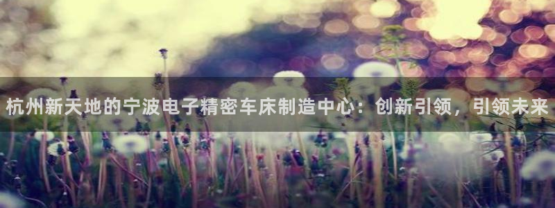 彩神是正规平台吗：杭州新天地的宁波电子精密车床制造中心：创新引领，引领未来