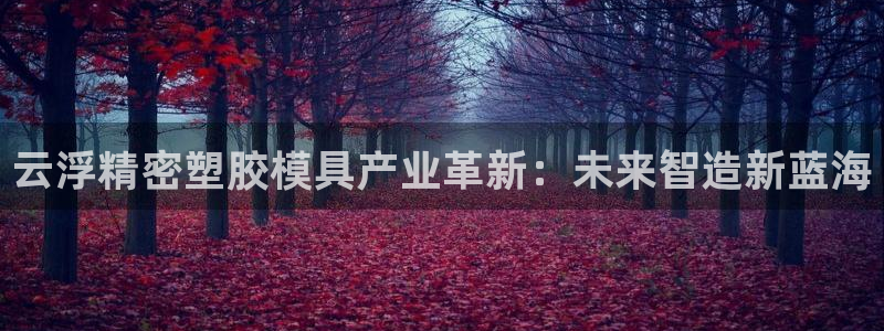 彩神iv能赚钱吗：云浮精密塑胶模具产业革新：未来智造新蓝海